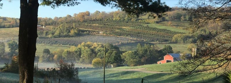 Hollin Farms — pasture-raised beef in Delaplane, VA
