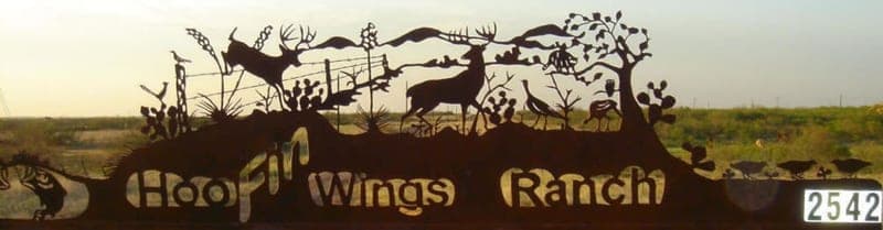 HooFin Wings Ranch — pasture-raised beef in Ft. Worth, TX