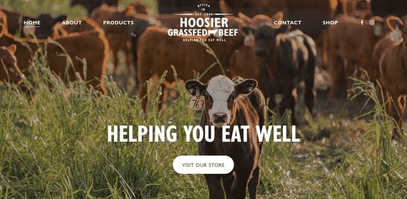 Hoosier Grassfed Beef — pasture-raised beef in Attica, IN