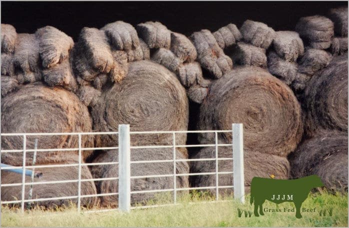 jjjmgrassfedbeef.com — pasture-raised beef in Celina, TX