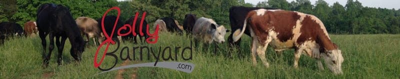 Jolly Barnyard — pasture-raised beef in Lewisburg, TN