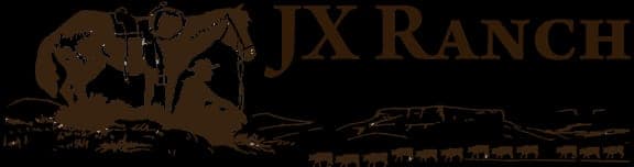 JX Ranch — pasture-raised beef in Tucumcari, NM