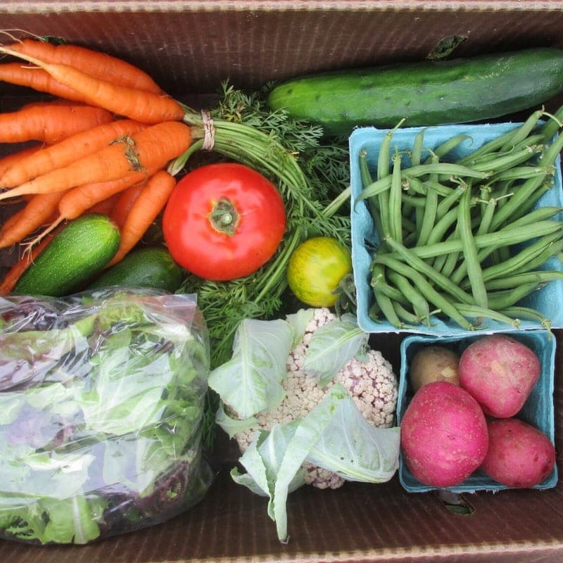 King Hill Farm — pasture-raised beef in Penobscot, ME