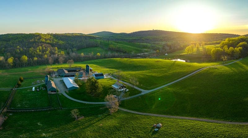 Kinloch Farm — pasture-raised beef in VA