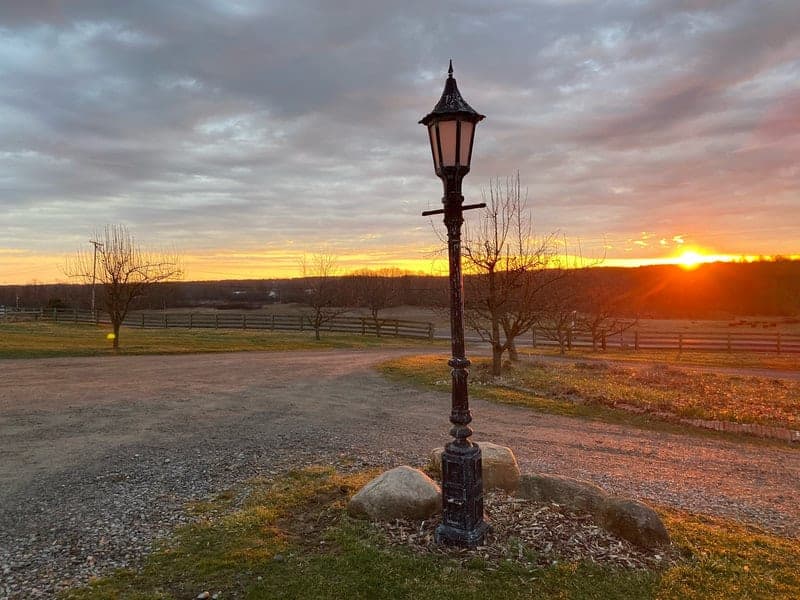 Lamppost Farm — pasture-raised beef in Columbiana, OH