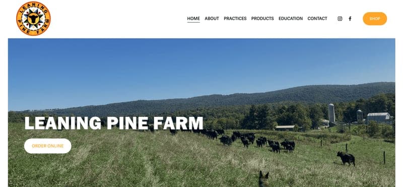 Leaning Pine Farm — pasture-raised beef in Mt. Savage, MD