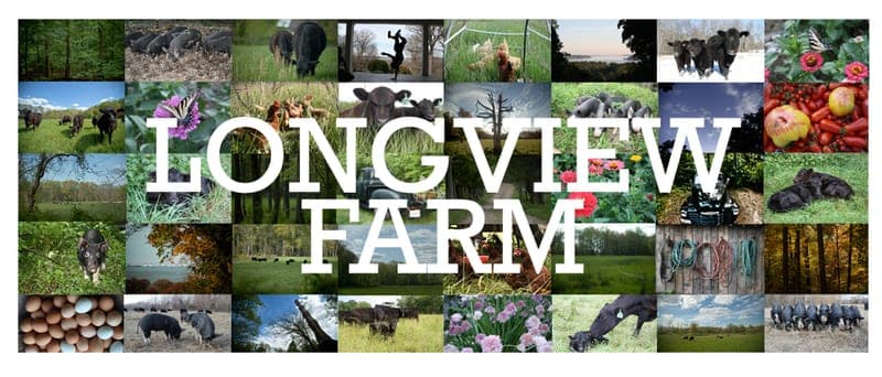 Longview Farm — pasture-raised beef in Accokeek, MD