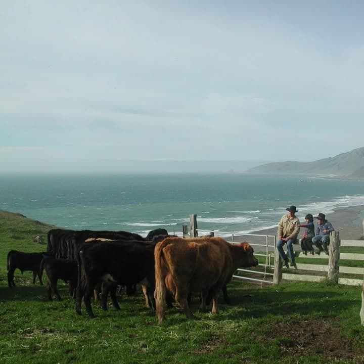 Lost Coast Ranch — pasture-raised beef in Petrolia, CA