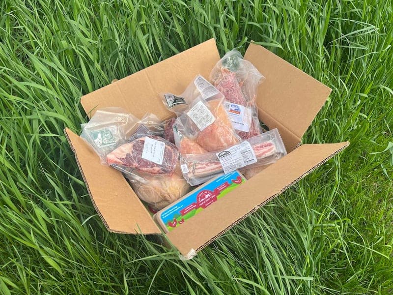 Maple Wind Farm — pasture-raised beef in Richmond, VT