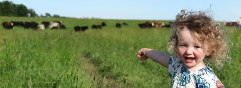 McCann's True Cost Farm — pasture-raised beef in Montrose, MN
