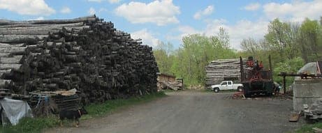 Mill Brook Farms — pasture-raised beef in Windsor, CT