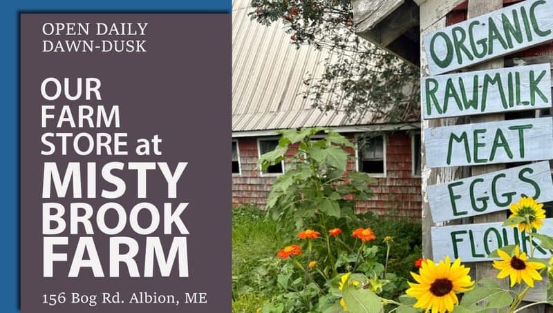 Misty Brook Farm — pasture-raised beef in Albion, ME