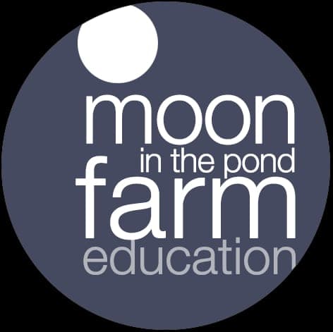 Moon In The Pond Farm — pasture-raised beef in Sheffield, MA