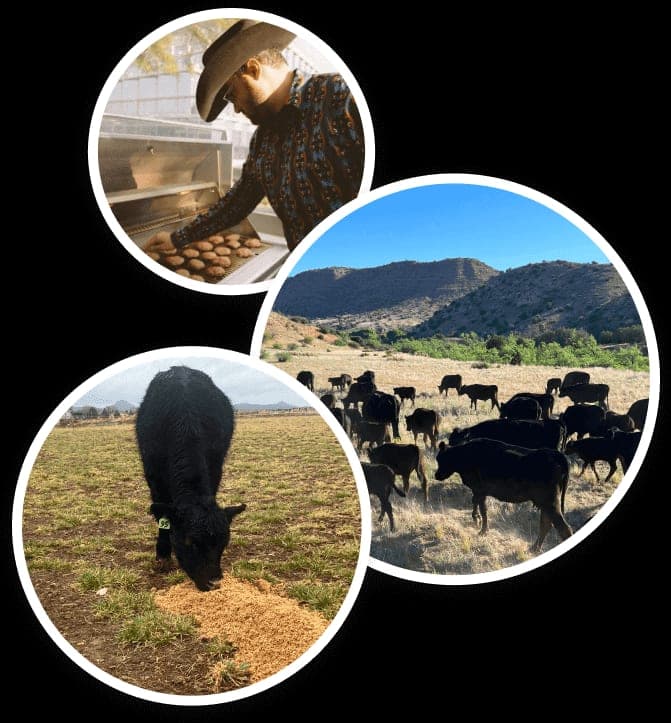 Moon River Beef — pasture-raised beef in Phoenix, AZ