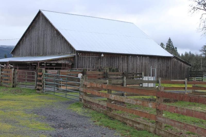 MoonLight Farm, LLC — pasture-raised beef in Sweet Home, OR