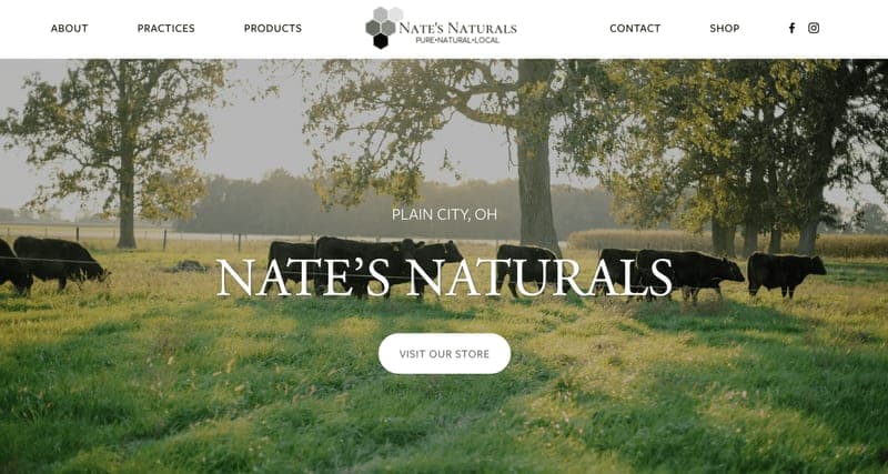 Nate's Naturals — pasture-raised beef in Plain City, OH
