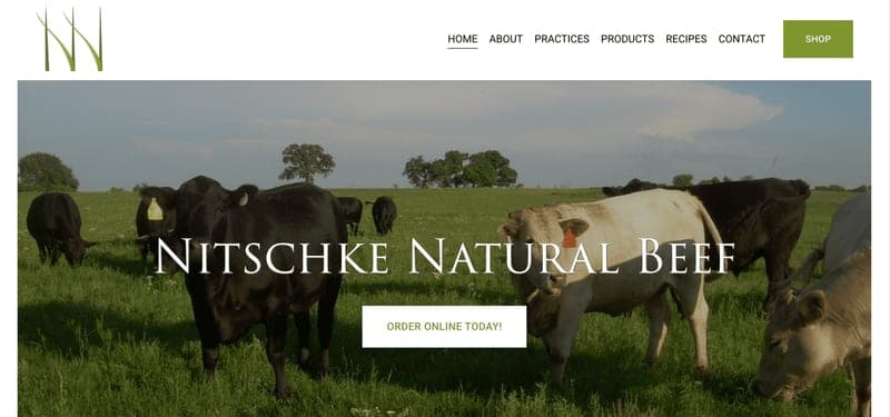 Nitschke Natural Beef — pasture-raised beef in Waurika, OK