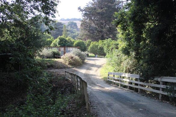 Old Creek Ranch — pasture-raised beef in Cayucos, CA