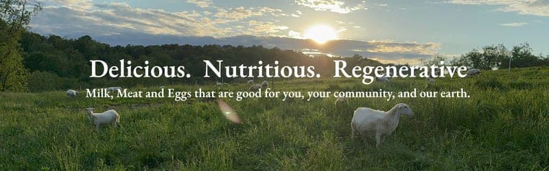Old Road Farm — pasture-raised beef in Washington, PA