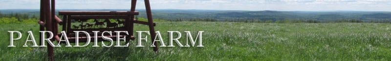 Paradise Farm — pasture-raised beef in Lyndeborough, NH