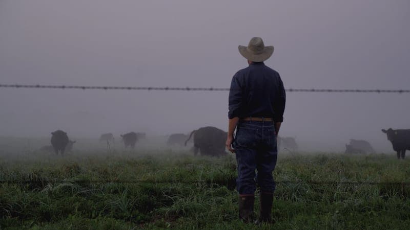 Pleasurewoods Farm Meats — pasture-raised beef in Ogilvie, MN