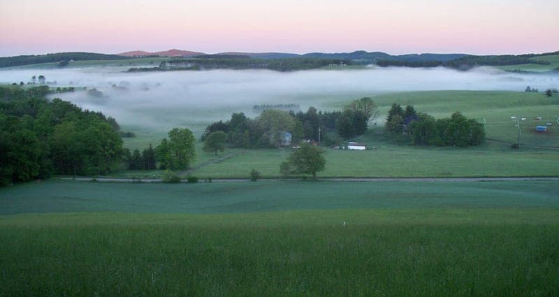 Possum Tail Farm — pasture-raised beef in Terra Alta, WV