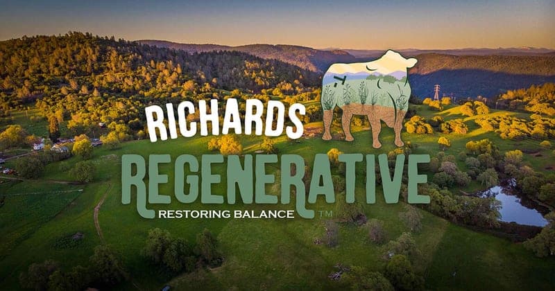 Richards Grassfed Beef — pasture-raised beef in Oregon House, CA