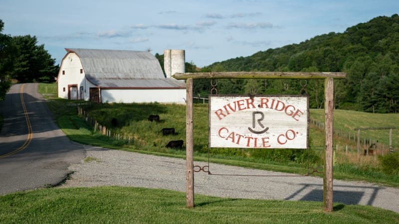 River Ridge Farm — pasture-raised beef in Independence, VA