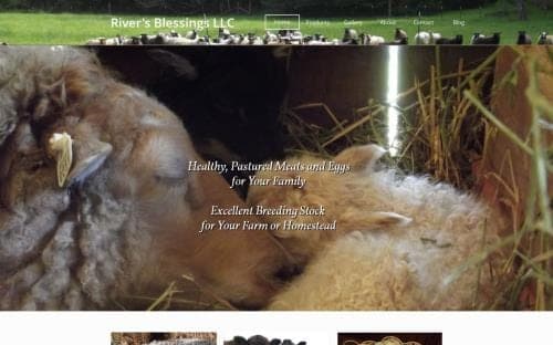 River's Blessings — pasture-raised beef in Coquille, OR
