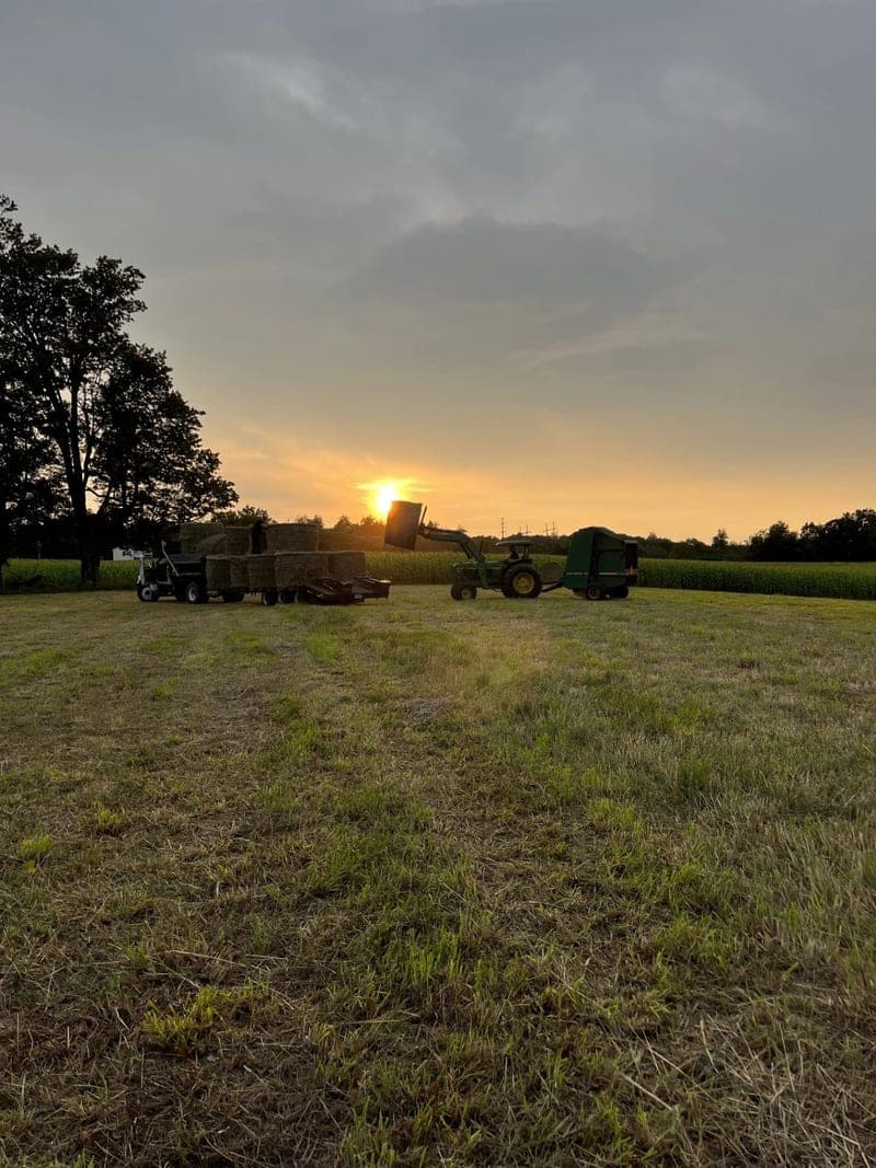 Rocky Acres Farm — pasture-raised beef in Sterling, MA