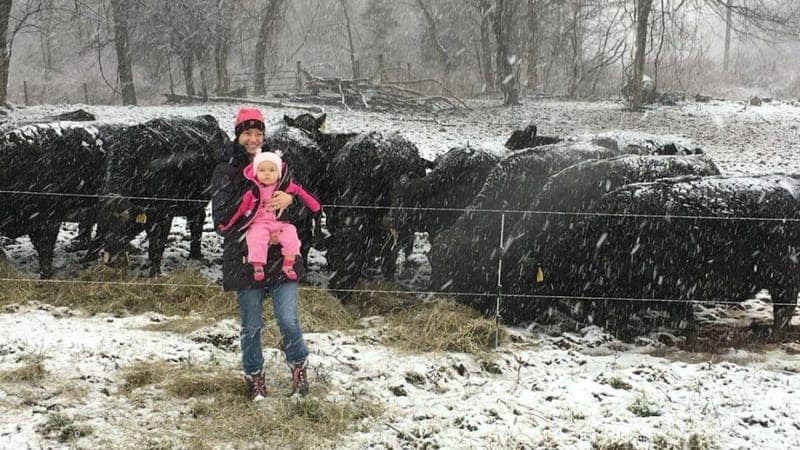 Savage Hill Cattle Co — pasture-raised beef in Berlin, CT