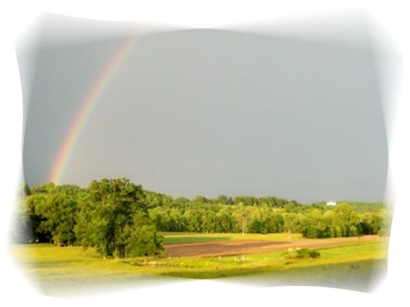 Semper Fidelis Ranch — pasture-raised beef in Eldridge, MO