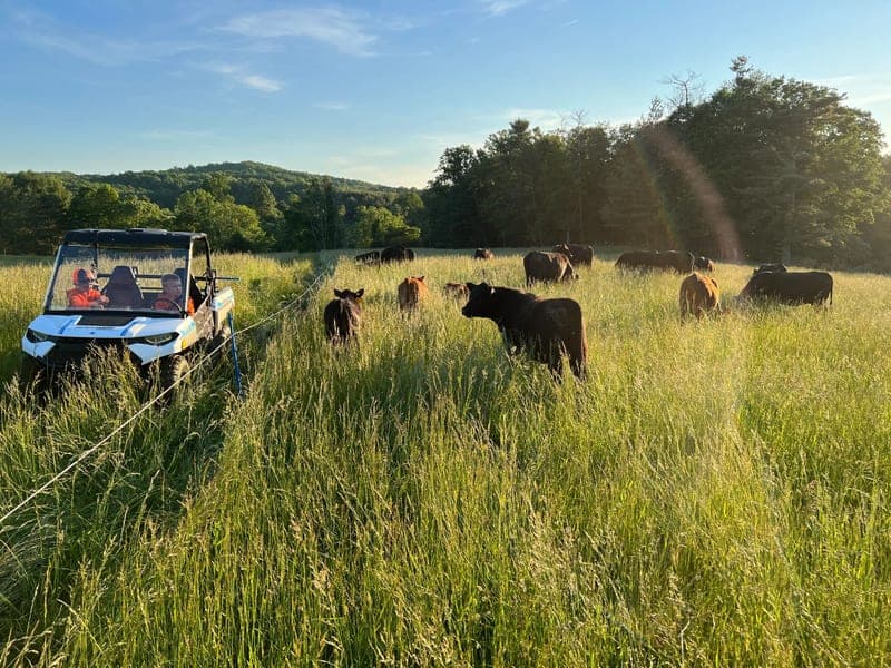 Smith Family Pastures, LLC — pasture-raised beef in Floyd, VA