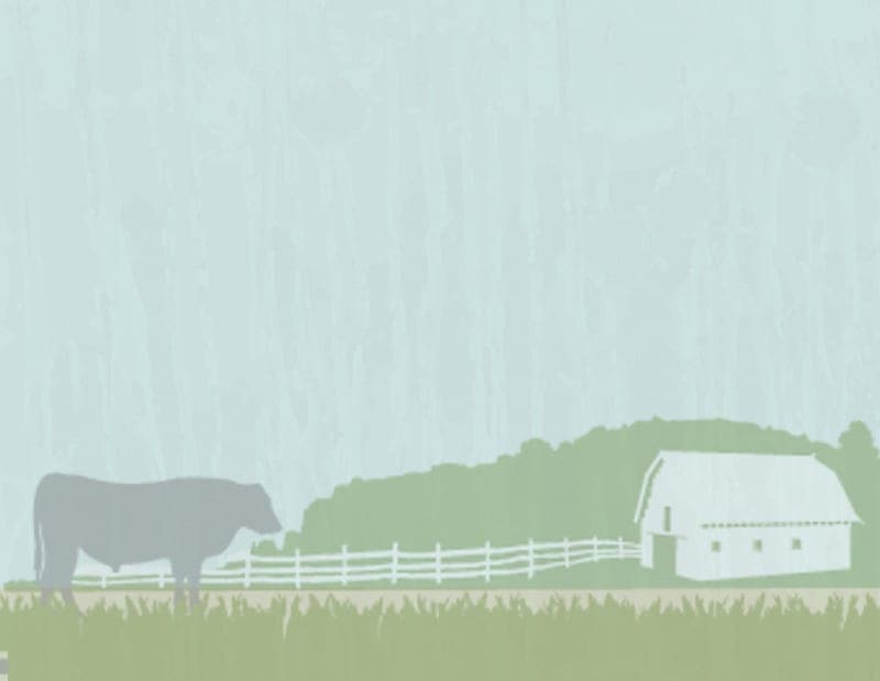 Stack Rock Mountain Farm — pasture-raised beef in Asheboro, NC