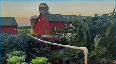 Tulmeadow Farm — pasture-raised beef in West Simsbury, CT