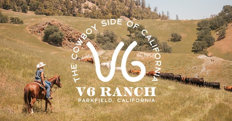 V6 Ranch — pasture-raised beef in Parkfield, CA