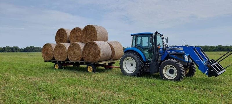 Vitality Pastures — pasture-raised beef in Bridgeton, NJ