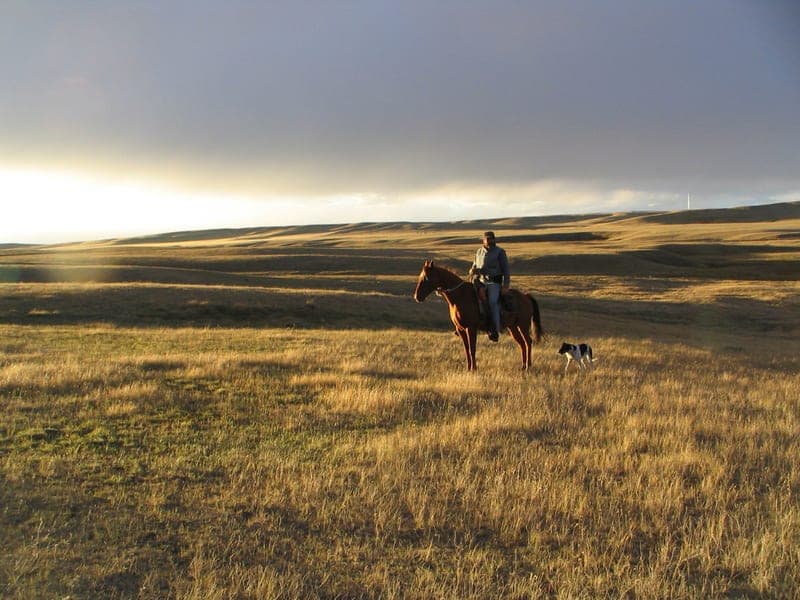 We will deliver within 100 miles of Conrad — pasture-raised beef in Conrad, MT