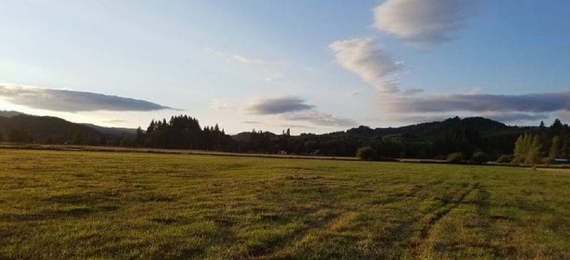 West Valley Beef — pasture-raised beef in Skamokawa, WA