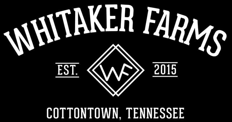 Whitaker Farms — pasture-raised beef in Gallatin, TN