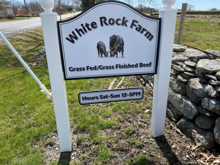 White Rock Farm — pasture-raised beef in Little Compton, RI