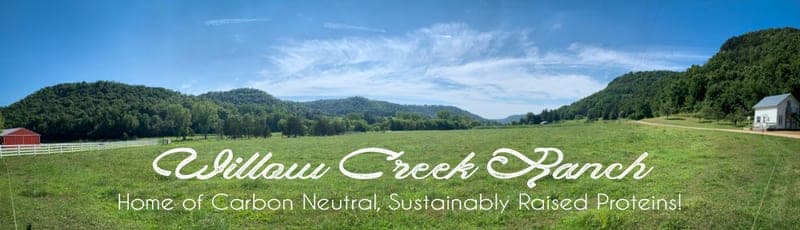Willow Creek Ranch — pasture-raised beef in Coon Valley, WI