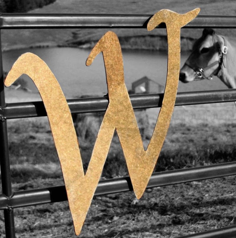 Wilson Ranch — pasture-raised beef in Heber Springs, AR