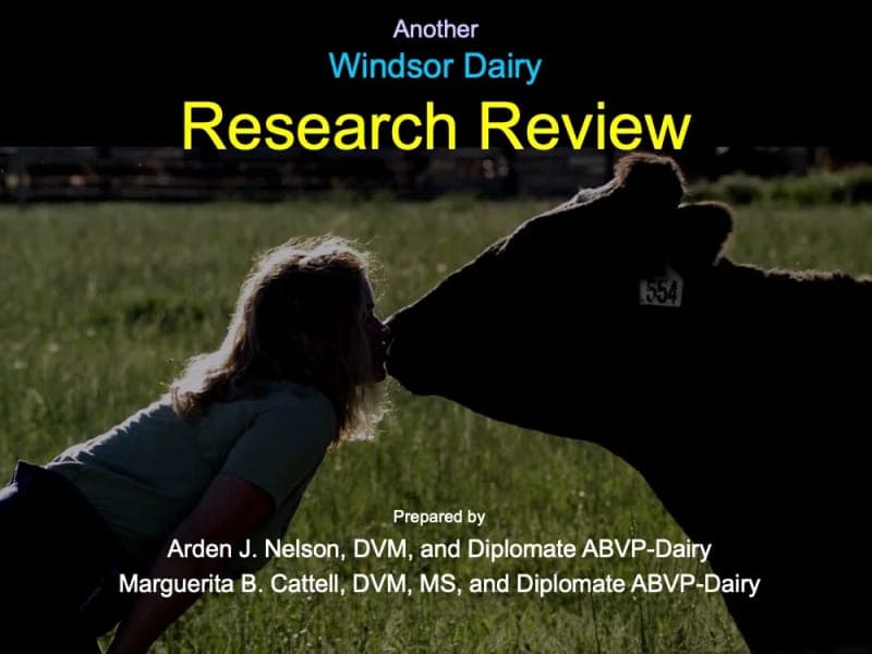 Windsor Dairy — pasture-raised beef in LaPorte, CO