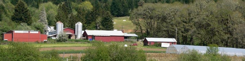 Winter Green Farm — pasture-raised beef in Noti, OR