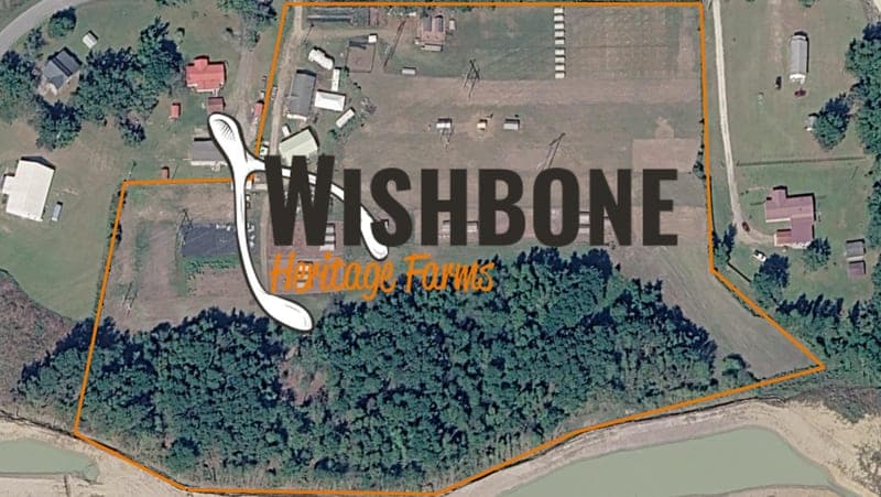 Wishbone Heritage Farms — pasture-raised beef in St. George, SC